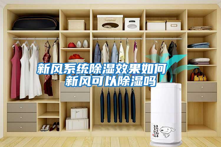 新風(fēng)系統除濕效果如何  新風(fēng)可以除濕嗎