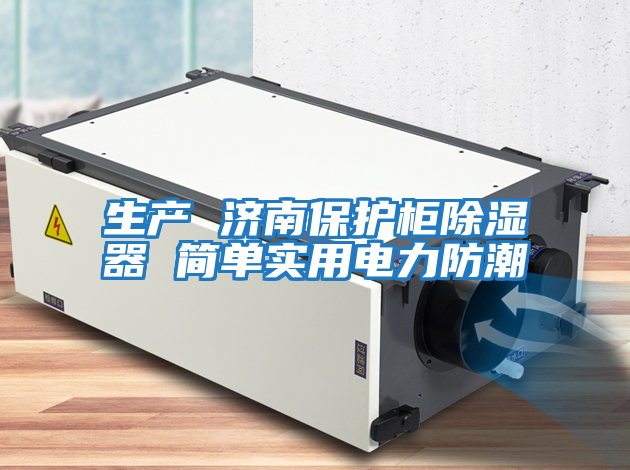 生產(chǎn) 濟南保護柜除濕器 簡(jiǎn)單實(shí)用電力防潮