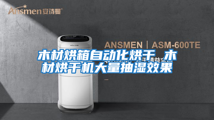木材烘箱自動(dòng)化烘干 木材烘干機大量抽濕效果