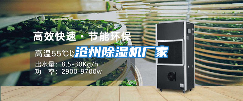 滄州除濕機廠(chǎng)家