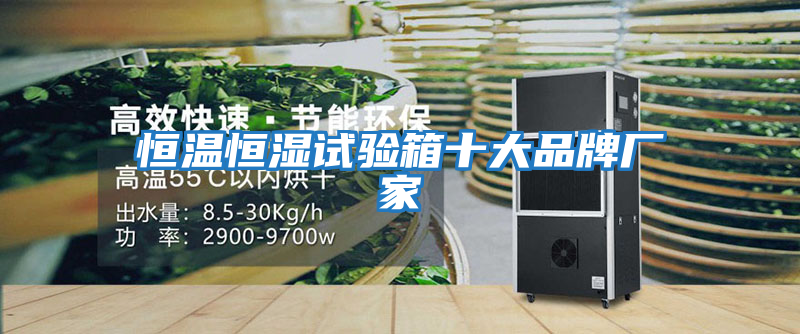 恒溫恒濕試驗箱十大品牌廠(chǎng)家