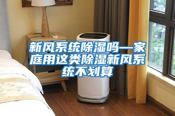 新風(fēng)系統除濕嗎—家庭用這類(lèi)除濕新風(fēng)系統不劃算