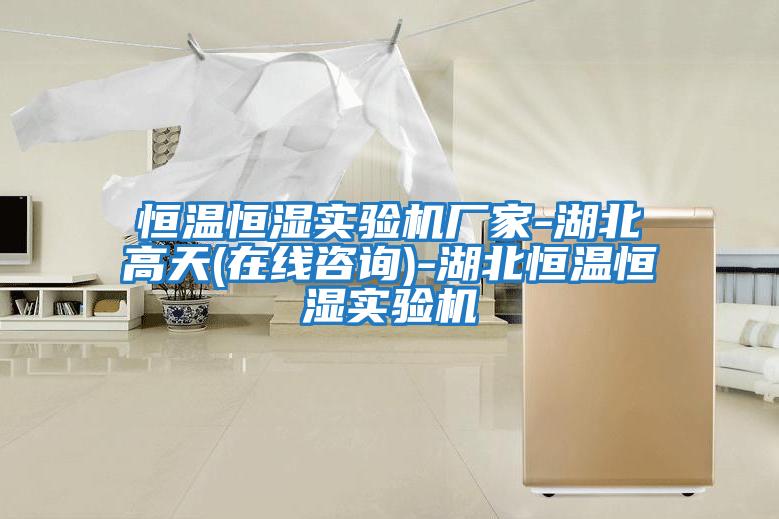 恒溫恒濕實(shí)驗機廠(chǎng)家-湖北高天(在線(xiàn)咨詢(xún))-湖北恒溫恒濕實(shí)驗機