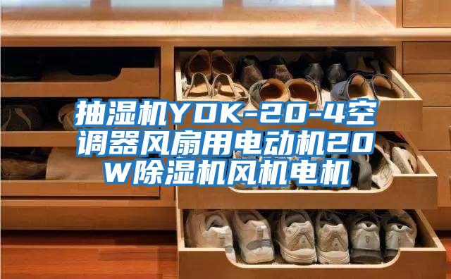抽濕機YDK-20-4空調器風(fēng)扇用電動(dòng)機20W除濕機風(fēng)機電機