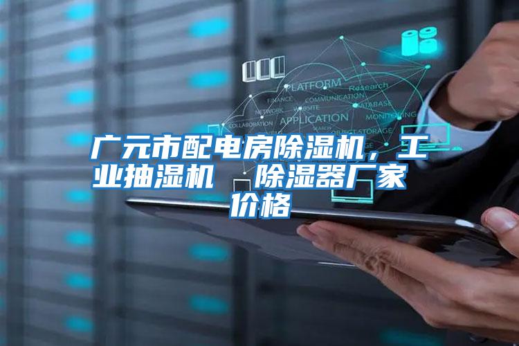 廣元市配電房除濕機，工業(yè)抽濕機  除濕器廠(chǎng)家 價(jià)格
