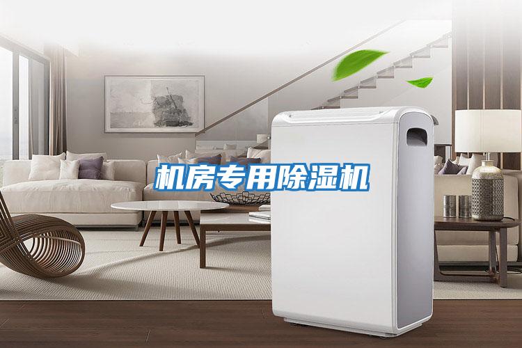 機房專(zhuān)用除濕機
