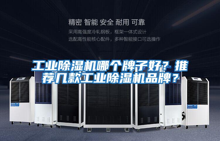 工業(yè)除濕機哪個(gè)牌子好？推薦幾款工業(yè)除濕機品牌？