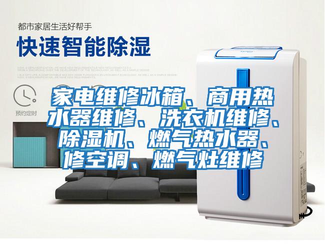 家電維修冰箱、商用熱水器維修、洗衣機維修、除濕機、燃氣熱水器、修空調、燃氣灶維修