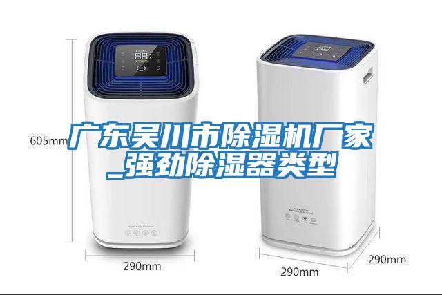 廣東吳川市除濕機廠(chǎng)家_強勁除濕器類(lèi)型