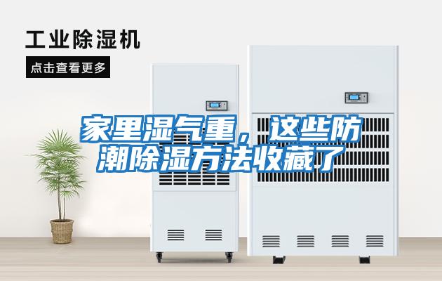 家里濕氣重，這些防潮除濕方法收藏了