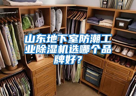 山東地下室防潮工業(yè)除濕機選哪個(gè)品牌好？