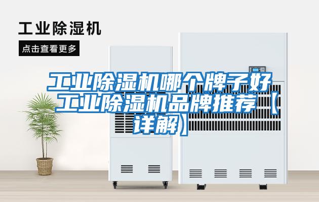 工業(yè)除濕機哪個(gè)牌子好 工業(yè)除濕機品牌推薦【詳解】