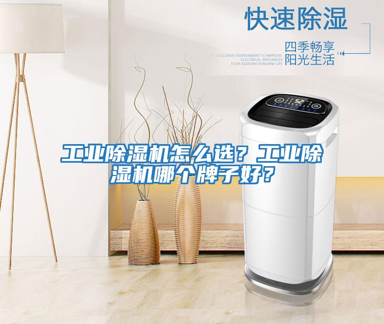 工業(yè)除濕機怎么選？工業(yè)除濕機哪個(gè)牌子好？