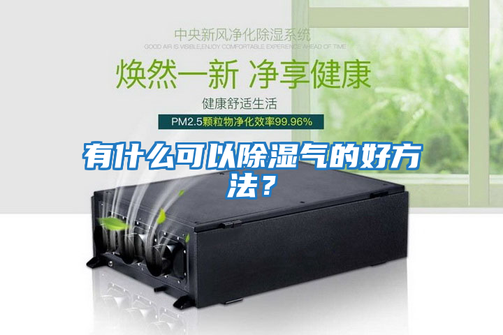 有什么可以除濕氣的好方法？