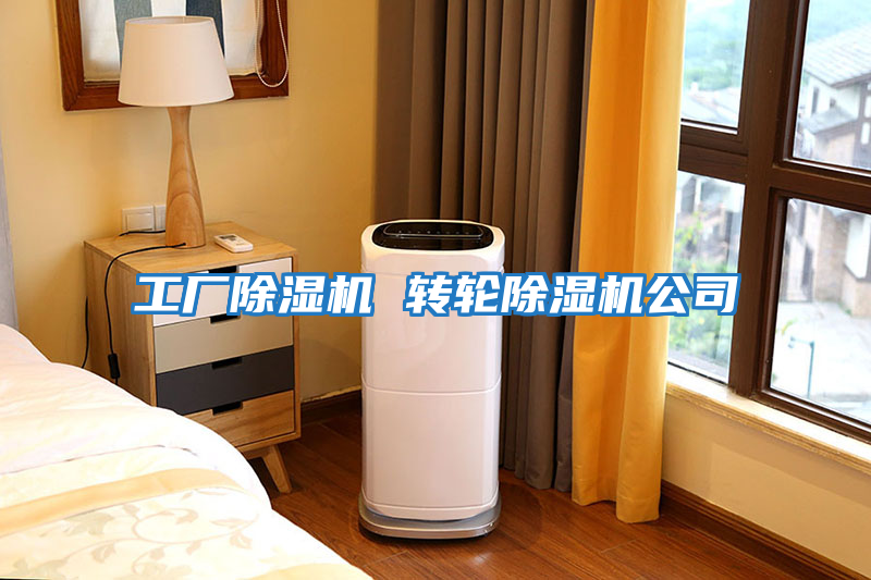工廠(chǎng)除濕機 轉輪除濕機公司