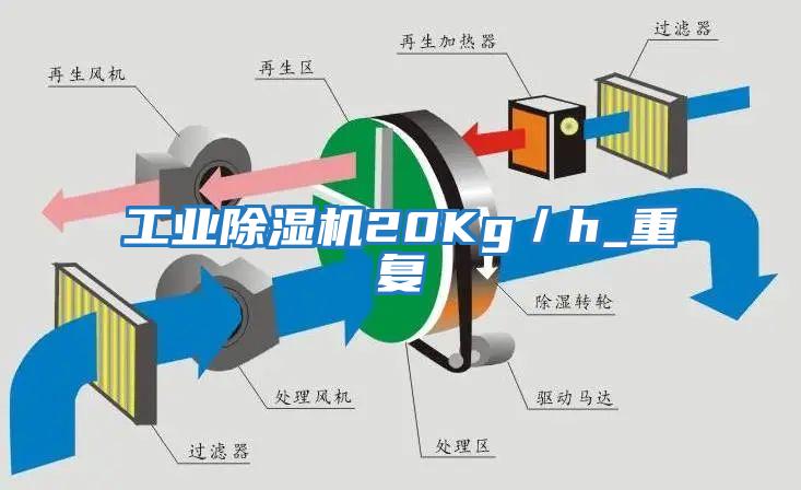 工業(yè)除濕機20Kg／h_重復