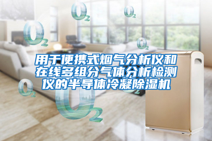用于便攜式煙氣分析儀和在線(xiàn)多組分氣體分析檢測儀的半導體冷凝除濕機