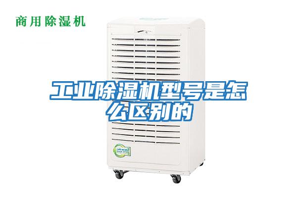 工業(yè)除濕機型號是怎么區別的