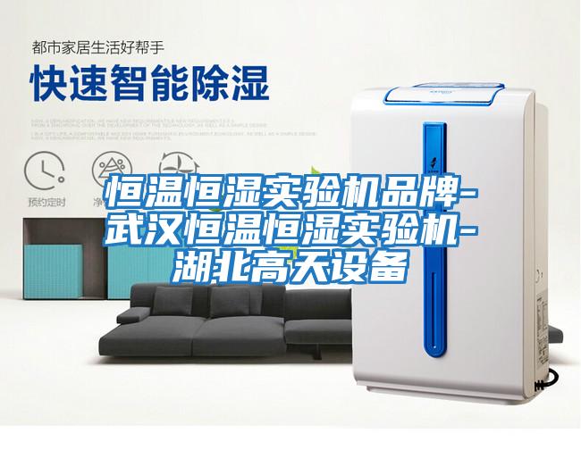 恒溫恒濕實(shí)驗機品牌-武漢恒溫恒濕實(shí)驗機-湖北高天設備