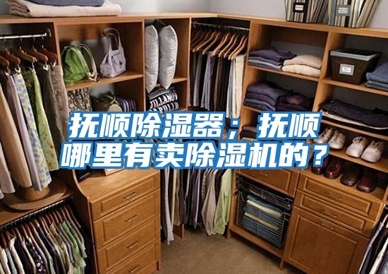 撫順除濕器；撫順哪里有賣(mài)除濕機的？