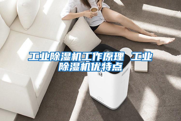 工業(yè)除濕機工作原理 工業(yè)除濕機優(yōu)特點(diǎn)