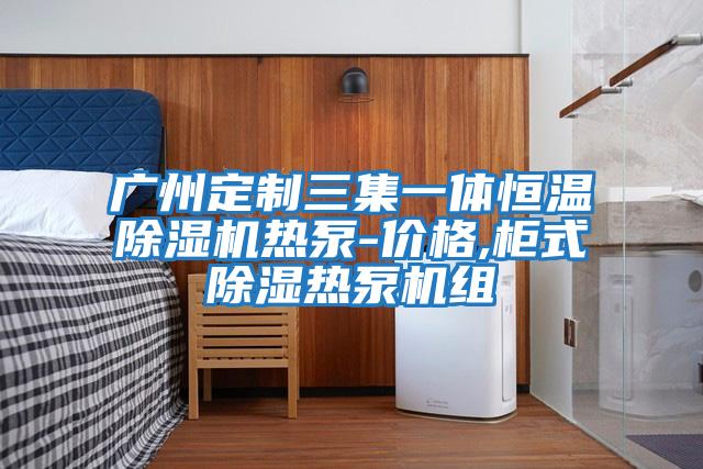 廣州定制三集一體恒溫除濕機熱泵-價(jià)格,柜式除濕熱泵機組