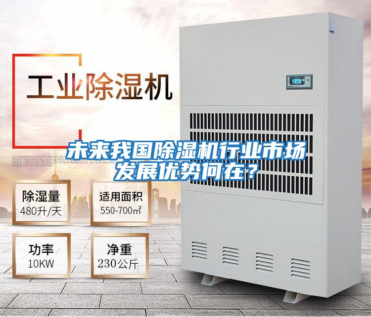 未來(lái)我國除濕機行業(yè)市場(chǎng)發(fā)展優(yōu)勢何在？
