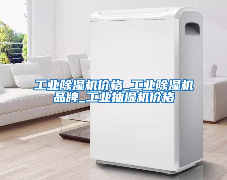 工業(yè)除濕機價(jià)格_工業(yè)除濕機品牌_工業(yè)抽濕機價(jià)格