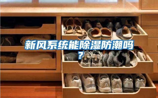 新風(fēng)系統能除濕防潮嗎？