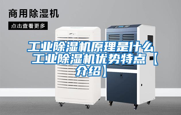 工業(yè)除濕機原理是什么 工業(yè)除濕機優(yōu)勢特點(diǎn)【介紹】