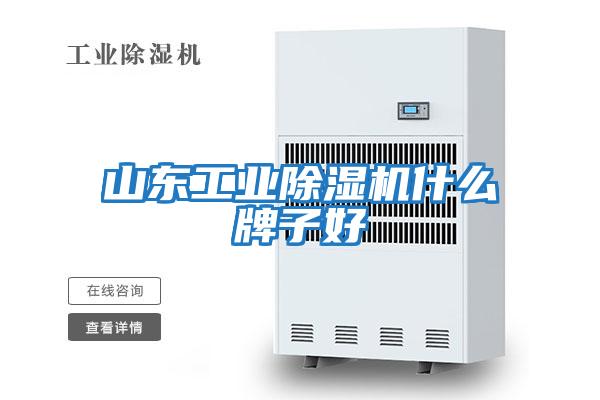 山東工業(yè)除濕機什么牌子好