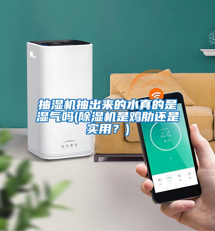 抽濕機抽出來(lái)的水真的是濕氣嗎(除濕機是雞肋還是實(shí)用？)