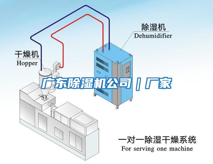 廣東除濕機公司｜廠(chǎng)家