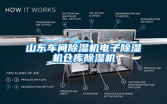山東車(chē)間除濕機電子除濕機倉庫除濕機