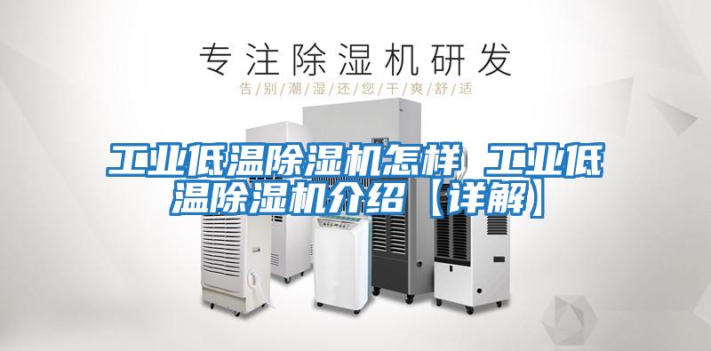 工業(yè)低溫除濕機怎樣 工業(yè)低溫除濕機介紹【詳解】