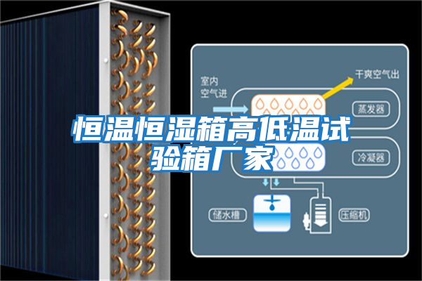 恒溫恒濕箱高低溫試驗箱廠(chǎng)家