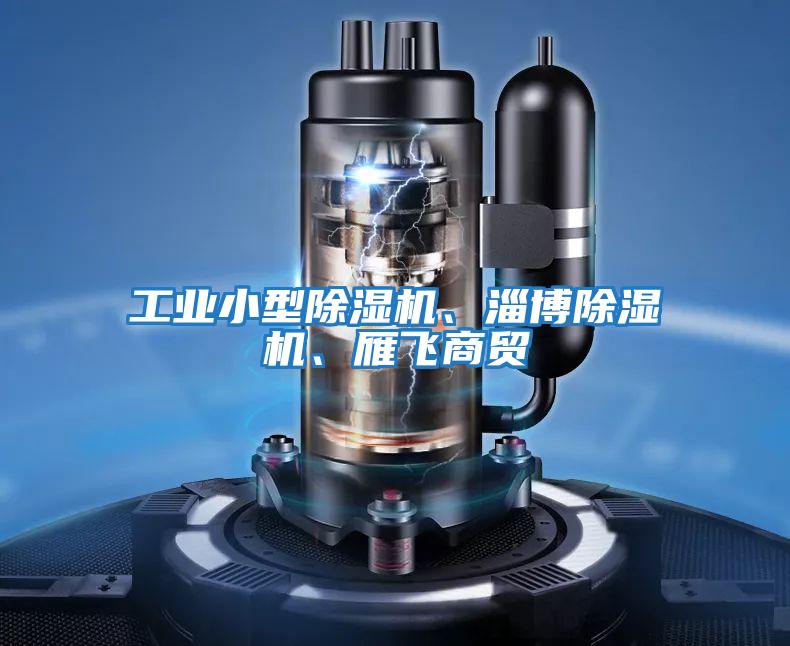 工業(yè)小型除濕機、淄博除濕機、雁飛商貿