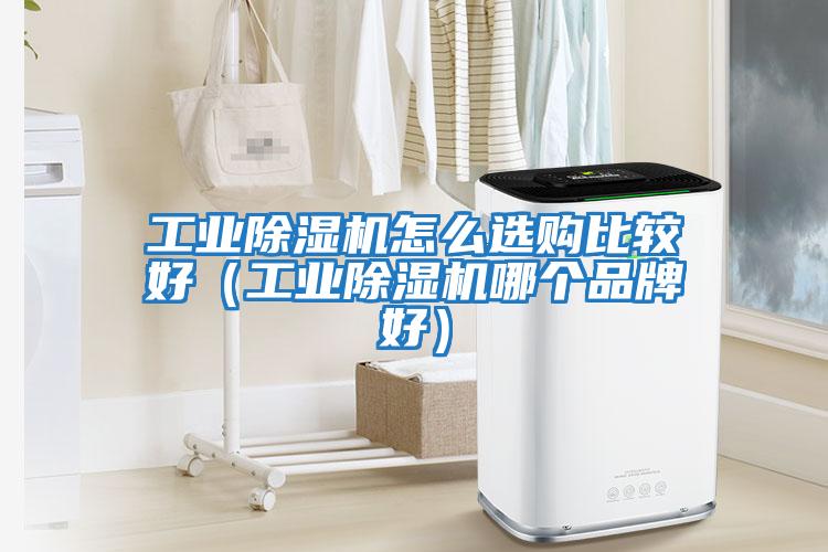 工業(yè)除濕機怎么選購比較好（工業(yè)除濕機哪個(gè)品牌好）
