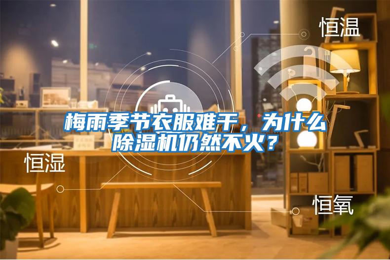 梅雨季節衣服難干，為什么除濕機仍然不火？