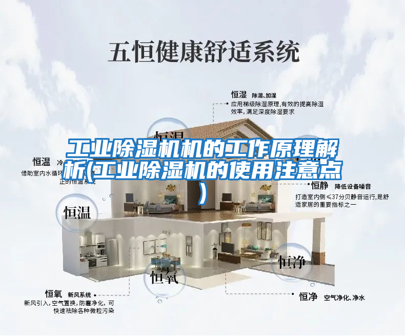 工業(yè)除濕機機的工作原理解析(工業(yè)除濕機的使用注意點(diǎn))