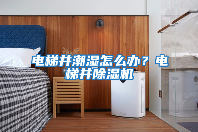 電梯井潮濕怎么辦？電梯井除濕機