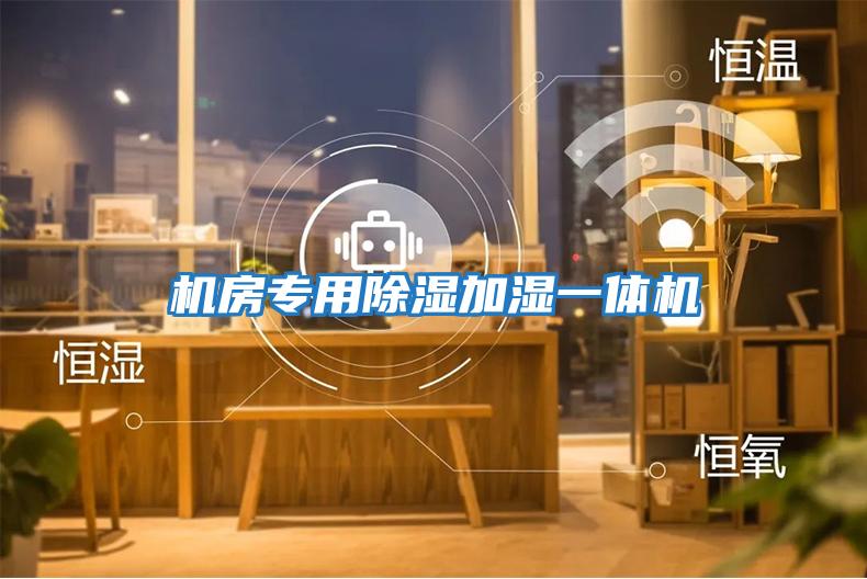 機房專(zhuān)用除濕加濕一體機