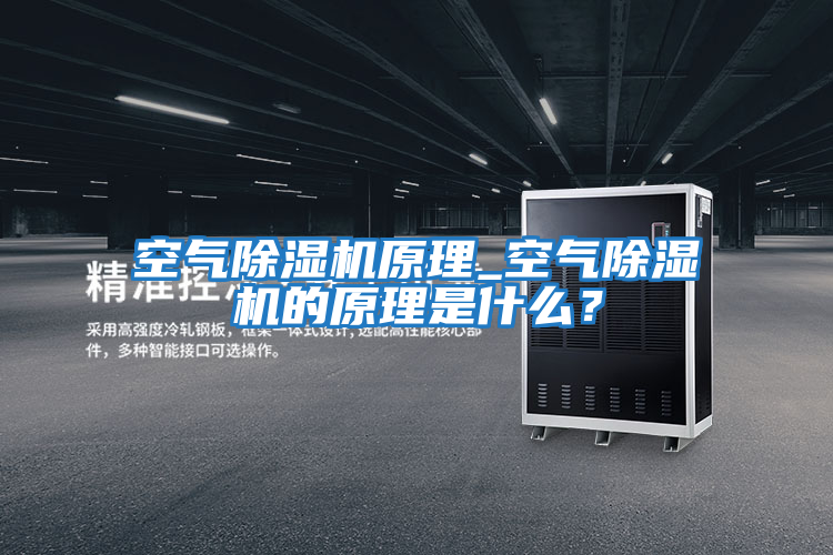 空氣除濕機原理_空氣除濕機的原理是什么？