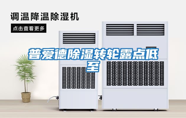 普愛(ài)德除濕轉輪露點(diǎn)低至