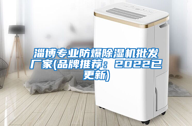 淄博專(zhuān)業(yè)防爆除濕機批發(fā)廠(chǎng)家(品牌推薦：2022已更新)