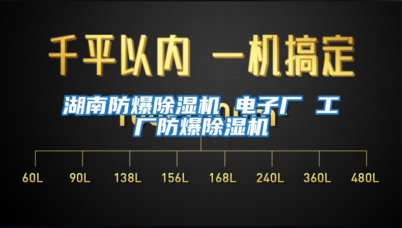 湖南防爆除濕機 電子廠(chǎng) 工廠(chǎng)防爆除濕機