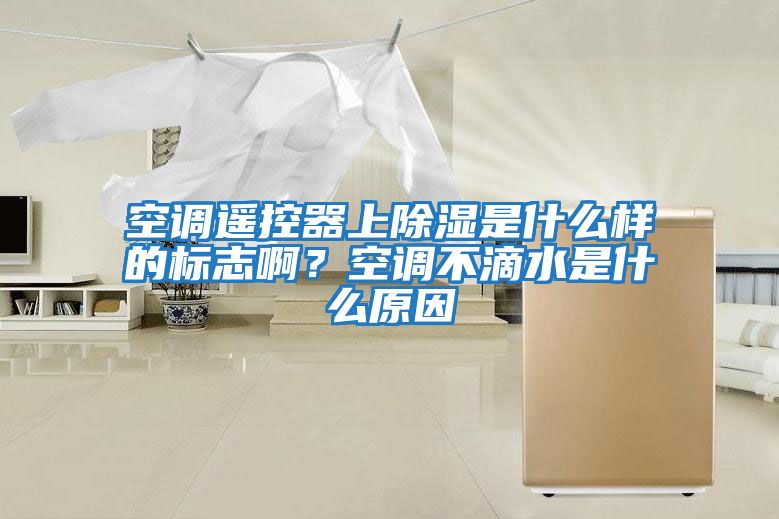 空調遙控器上除濕是什么樣的標志??？空調不滴水是什么原因