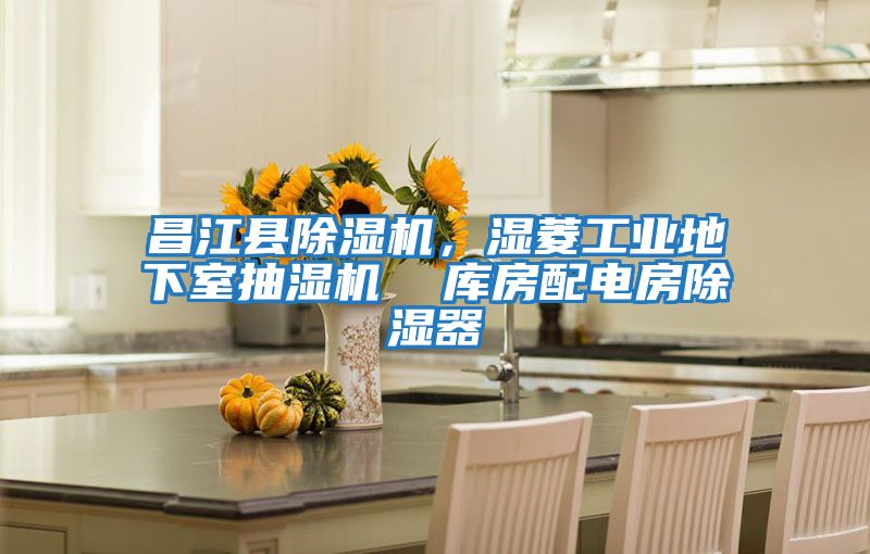 昌江縣除濕機，濕菱工業(yè)地下室抽濕機  庫房配電房除濕器