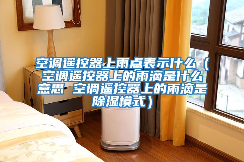 空調遙控器上雨點(diǎn)表示什么（空調遙控器上的雨滴是什么意思 空調遙控器上的雨滴是除濕模式）