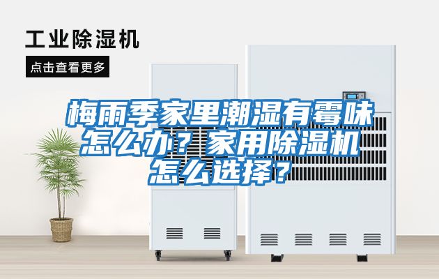 梅雨季家里潮濕有霉味怎么辦？家用除濕機怎么選擇？